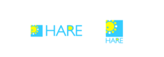 HARE株式会社のマーケティングインターン