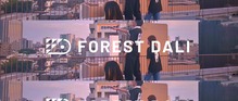 株式会社Forest Daliのマーケティングインターン
